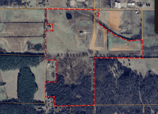 Country Home and 76 Acres in Hector, Arkansas